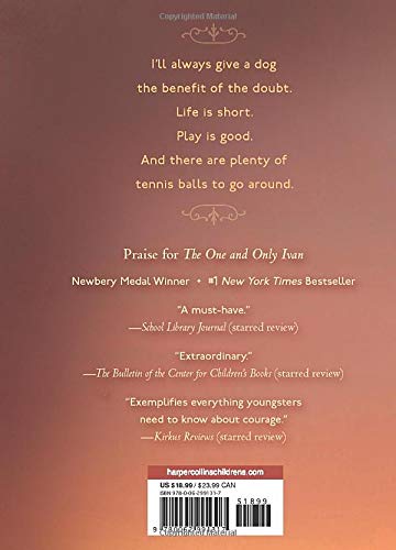 The One and Only Bob (Hardcover)