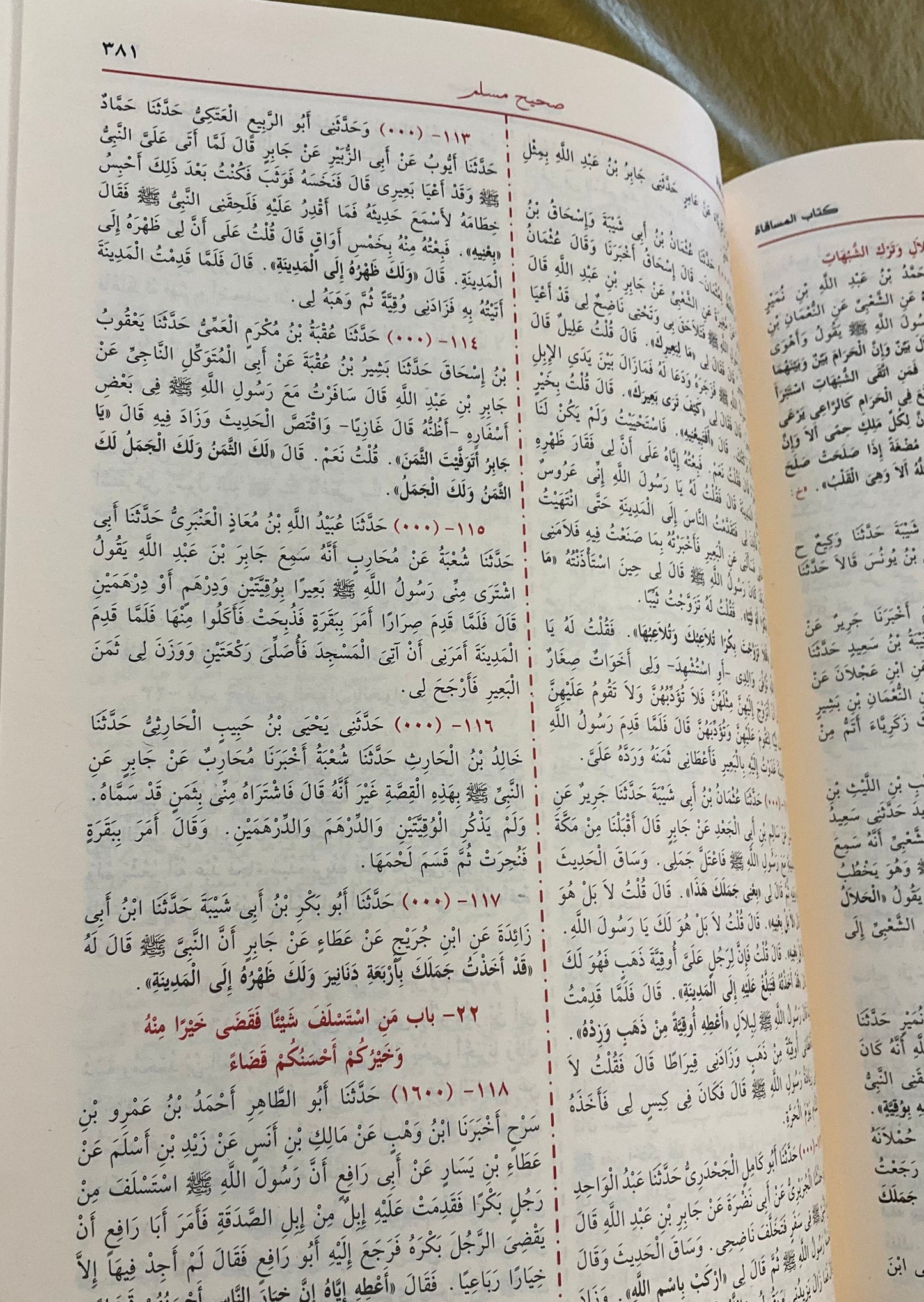 Sahih Muslim (Arabic Version, Single Volume)