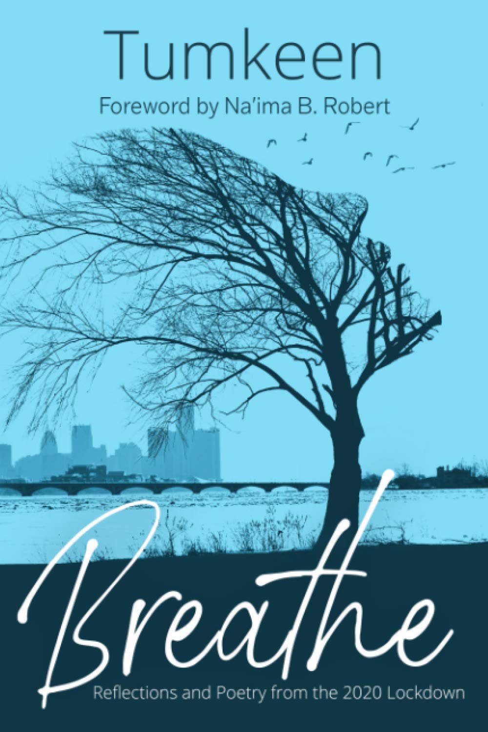 Breathe: Reflections and Poetry from the 2020 Lockdown