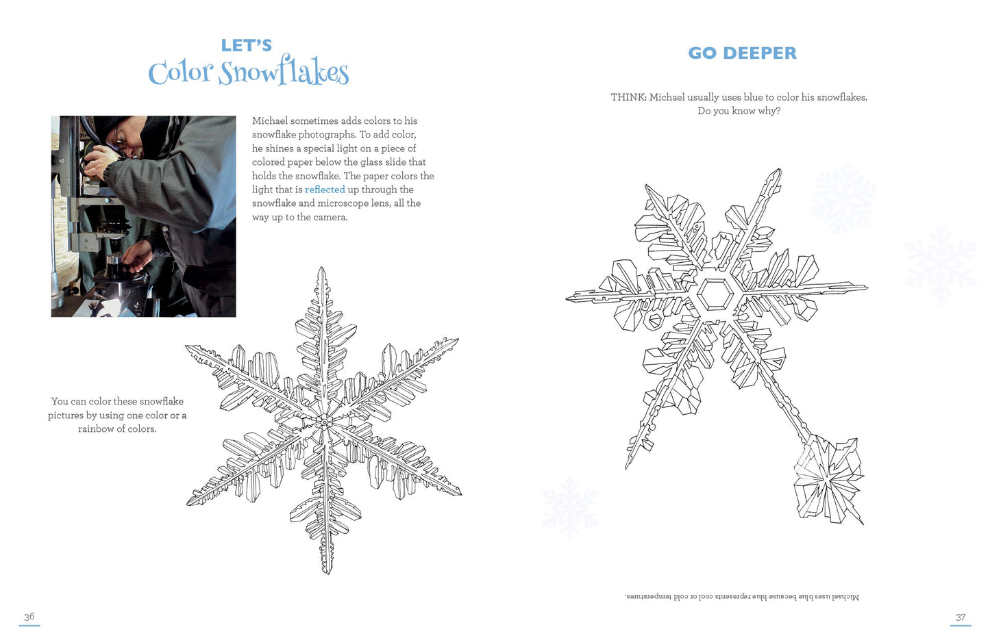 Snowflake Science Activity Book