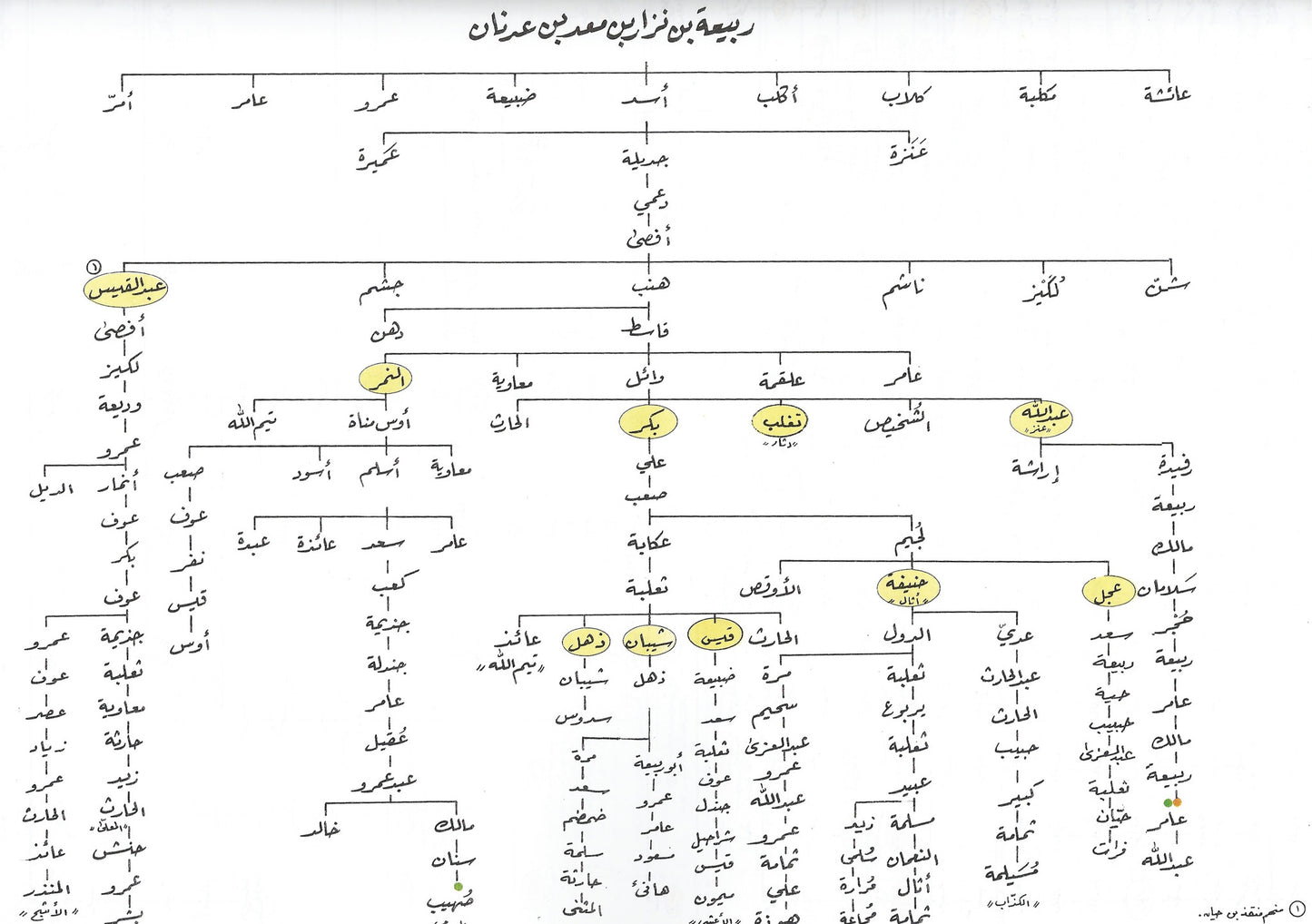 Daleel al-Sira دليل السيرة , Shaam - Daybreak International Bookstore, Daybreak Press Global Bookshop
- 3