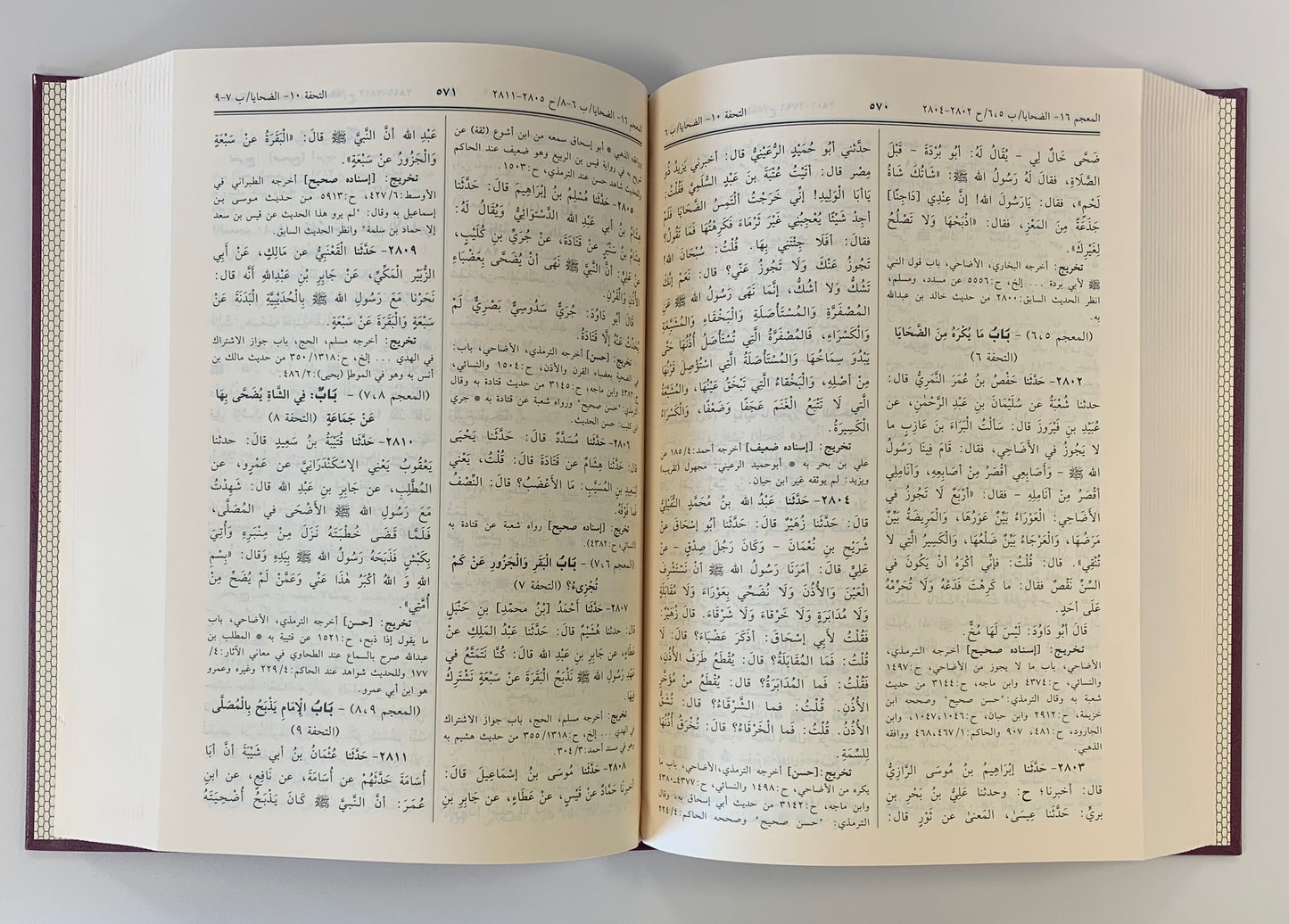 Sunan Abi Dawud (in Arabic) سنن أبي داوود