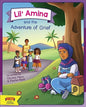 Lil' Amina and the Adventure of Grief