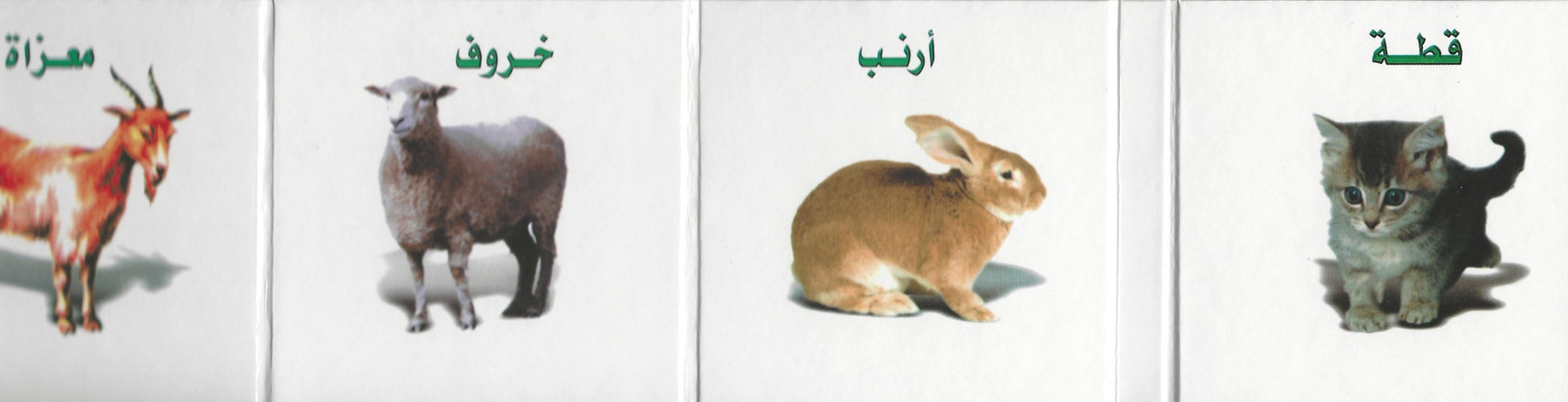 كتابي الصغير ,  - Daybreak Press Global Bookshop, Daybreak Press Global Bookshop
 - 3