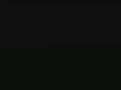 Joy Jots First Edition in Bosnian