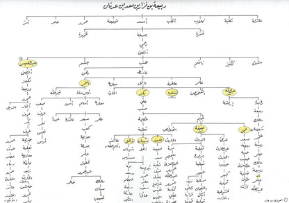 Daleel al-Sira دليل السيرة , Shaam - Daybreak International Bookstore, Daybreak Press Global Bookshop
 - 3