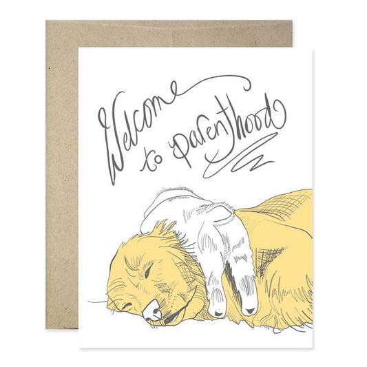 Greeting Cards - Medium