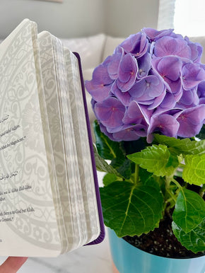 half opened book In the Garden of Remembrance